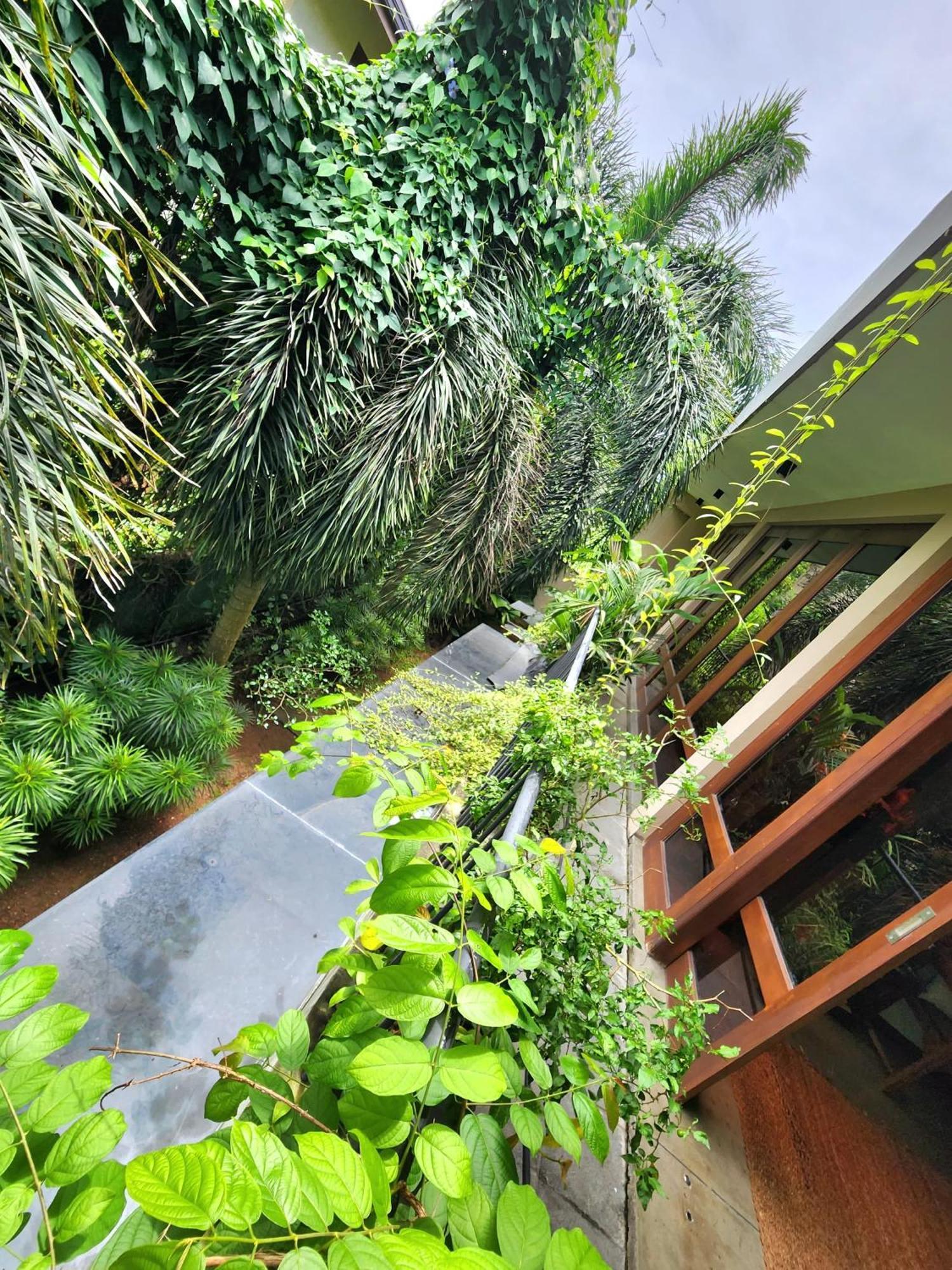 Cozy Luxury Room With Balcony View ! Rajagiriya Dış mekan fotoğraf